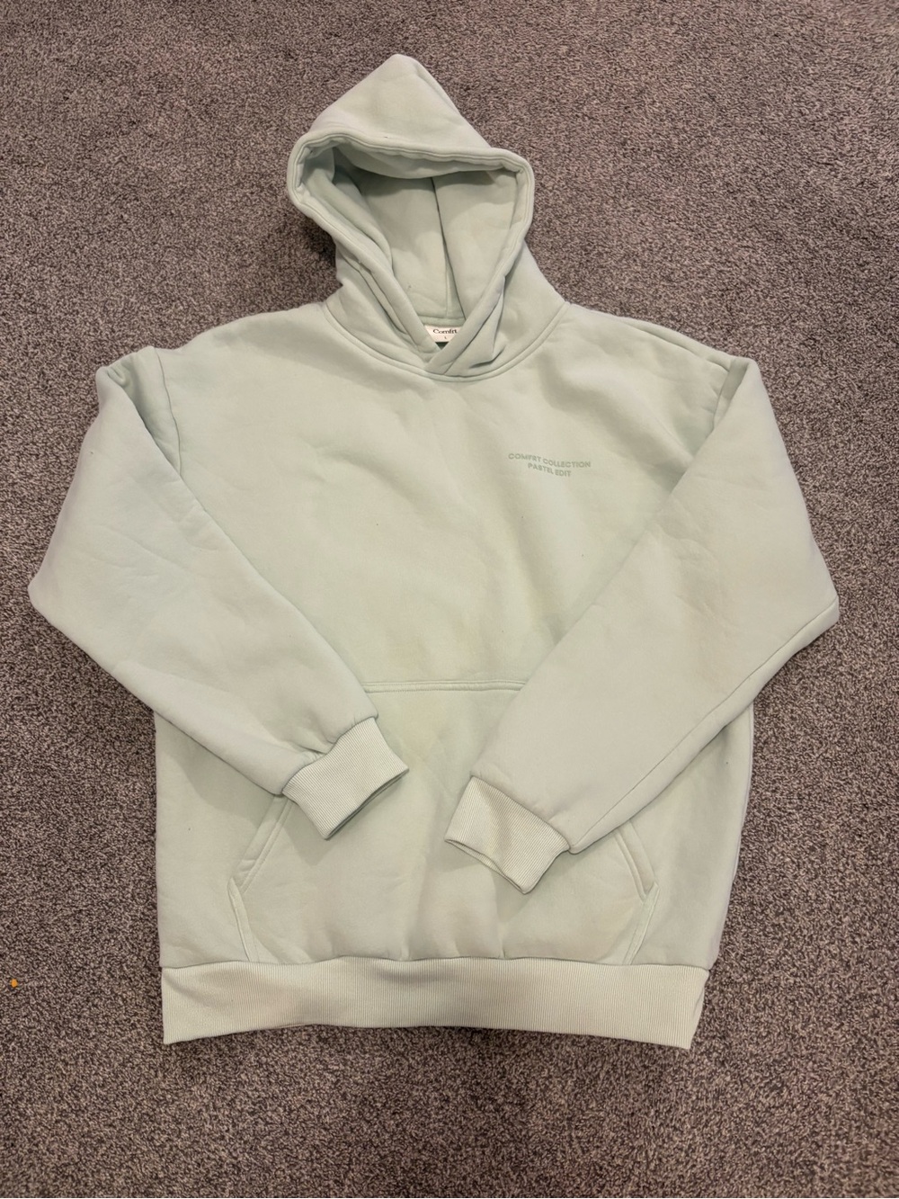 Unisex Pale Mint Pullover Hoodie with Subtle Chest Print- Pastel Collection